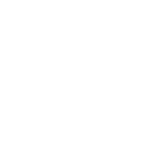 logo c-ro